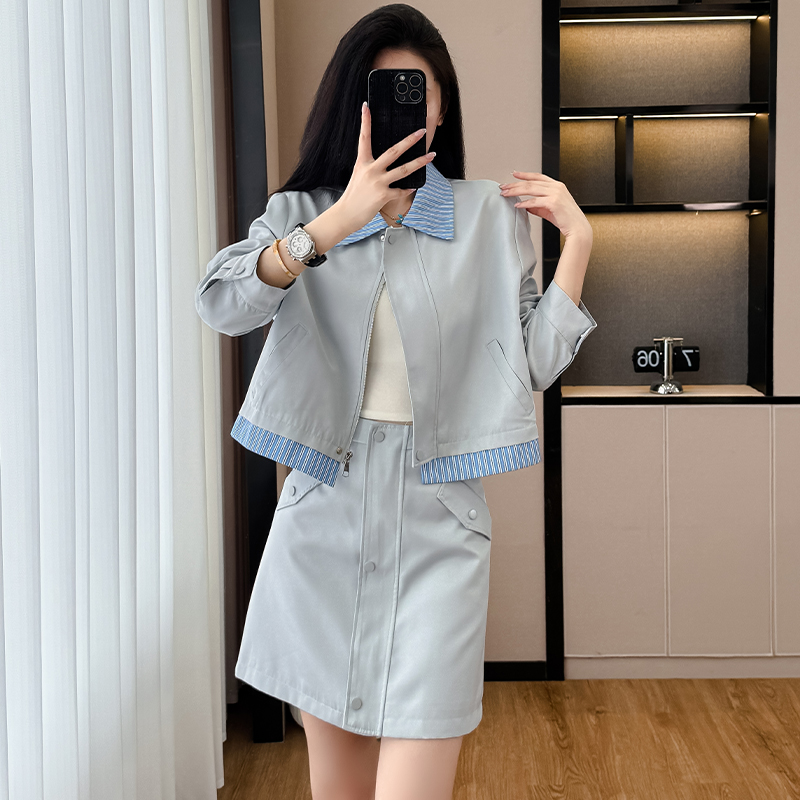 Light Blue Preppy Two-Piece Skirt Set Korean Style Slimming - Style ae22a1 - Image 2